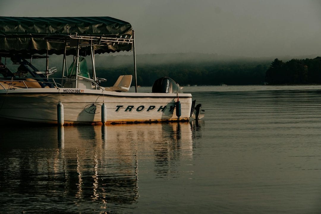 Summer Muskie: The Post-Spawn Transition Window and Why Serious Anglers Fish It Alone