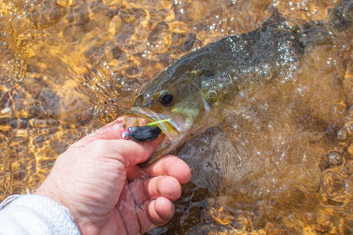 Smallmouth Bass in Low, Clear Rivers: The Finesse Tactics That Still Draw Bites in August Heat