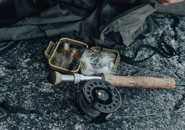 Choosing Your First 5-Weight: Sage, Orvis, G. Loomis, and the Real Answer