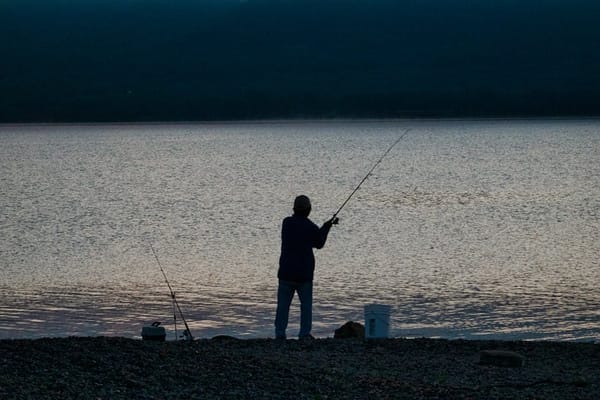 Musky: The Fish of 10,000 Casts and What's Actually Worth It