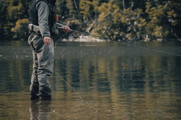 Summer stillwater trout fishing in the UK: tactics for when the water warms and the fish go deep