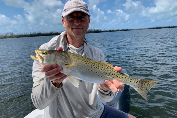 Summer Spotted Seatrout 2026: The Dawn Topwater Window and the Deep Grass Pattern That Takes Over by Mid-Morning