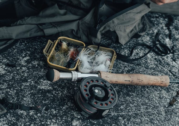 Choosing Your First 5-Weight: Sage, Orvis, G. Loomis, and the Real Answer