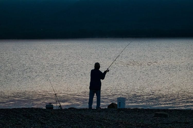 Musky: The Fish of 10,000 Casts and What's Actually Worth It