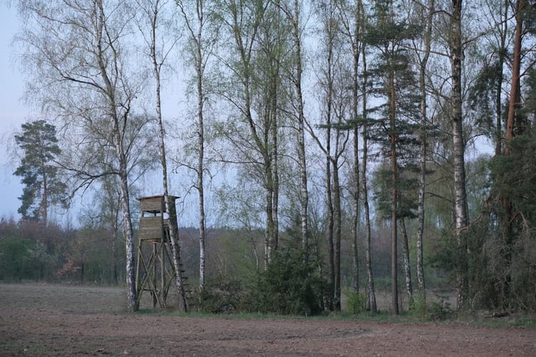 Spring Turkey Gear You Don't Actually Need